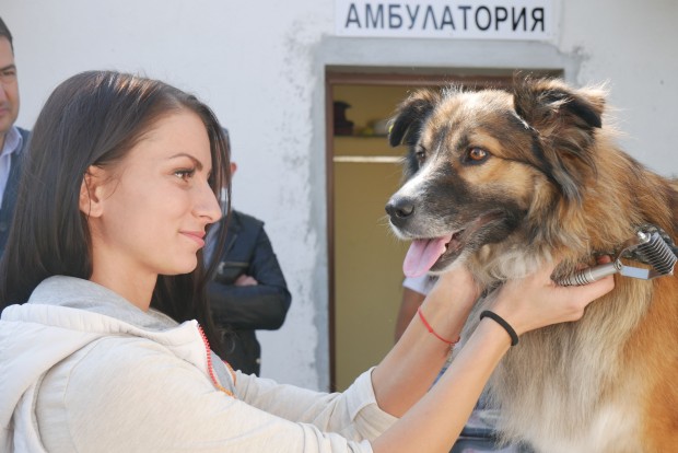 В Световния ден за защита на животните 4 октомври Пловдивският