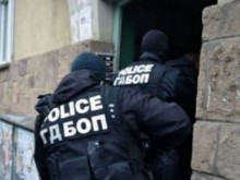ГДБОП неутрализира група за разпространение на контрабандни цигари в Асеновград