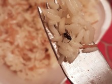 Доста неприятна изненада в кутия с храна от Alex Foods, вижте как веригата компенсира клиента