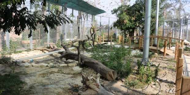 Няма законови пречки за приключване на строителството на зоопарка, научи Plovdiv24.bg. "Да,