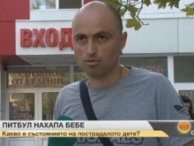 Нахапано от питбул момиченце е настанено в пловдивска болница