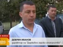 От Горското в Хисаря дадоха още подробности за ромските безчинства