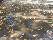 Обратна вода шурна в центъра на Пловдив, миризмата е убийствена