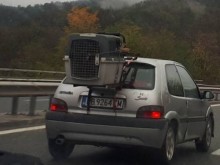 Пловдивска кола по магистралата вбеси столичанин, вижте защо!