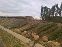 700 кипариса ще пазят от снегонавявания много проблемен участък от АМ "Тракия"