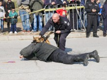 Пловдивската полиция показа какво може! Шоуто си струваше!
