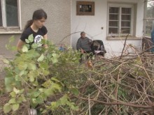 IT специалисти напускат офисите и отиват да помагат на самотни възрастни хора