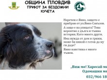 Има ли желаещи да се грижат за тях с много любов и внимание?