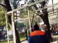 Дърво отново разбуни духовете в Пловдив