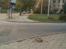 Колко временно е временното в Пловдив?