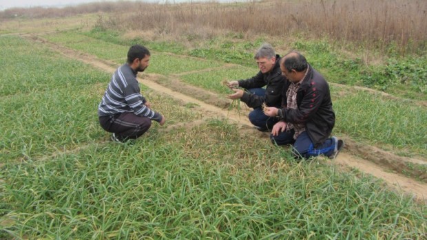 Близо 250 ромски семейства в Пловдивска област обработват земя и