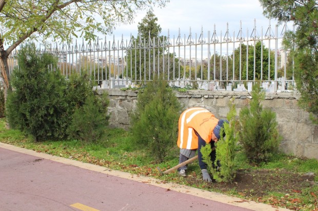 Паркът на улица Богомил се обогати с 21 нови дръвчета