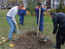 Кметът на "Южен" даде старт на залесителната кампания в района