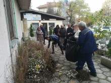 В "Северен" раздават разсад