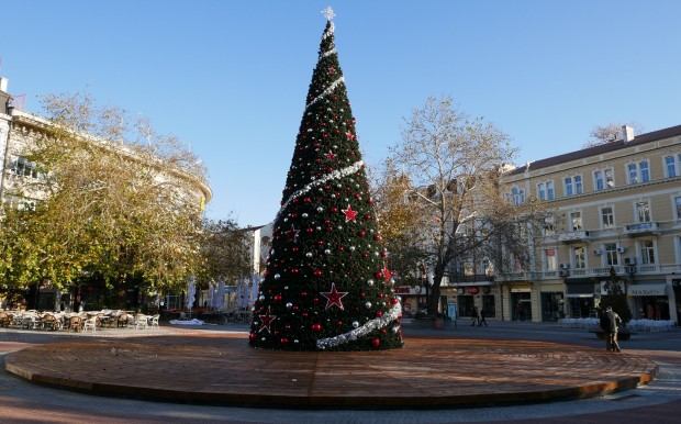 Plovdiv24 bg представя красивата елха на Пловдив Сглобяването и поставянето на