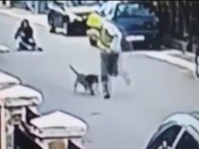 Бездомно куче стана герой, спаси жена от крадец