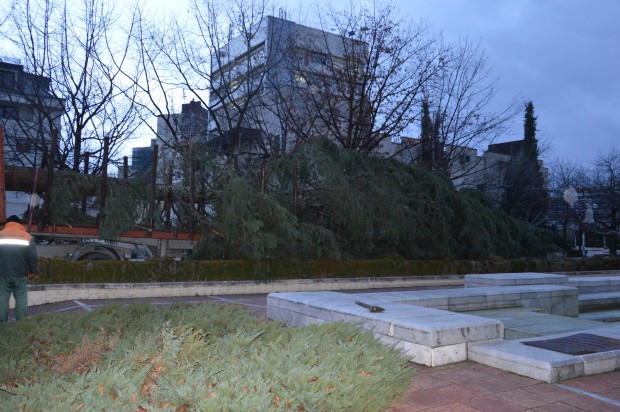 Започна монтирането на коледното дърво при сградата на Община Благоевград.