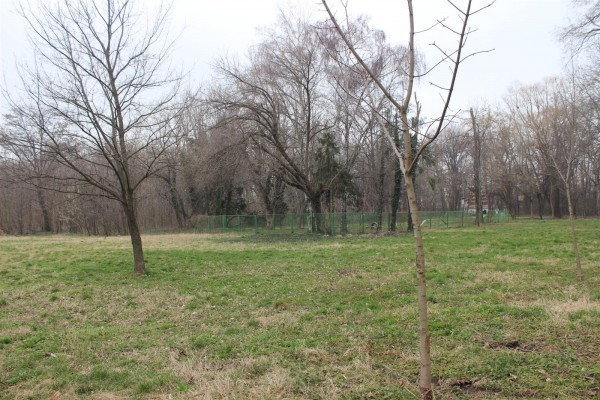Садят 60 нови дръвчета в Розариума предаде репортер на Plovdiv24 bg  Акцията