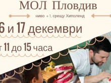 "Болница за плюшени мечета" в мол "Пловдив"