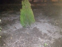 Собственичка на пловдивски бар отрече децата й да са вандалствали