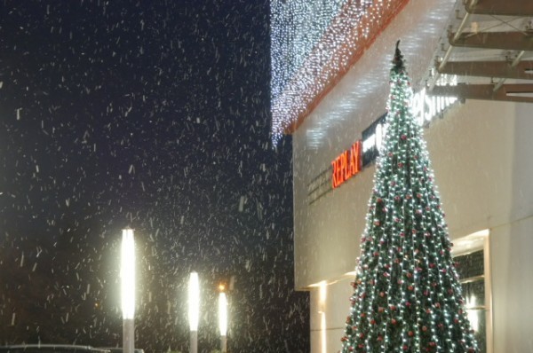 Тази вечер в Пловдив заваля първия сняг Събитието обаче се