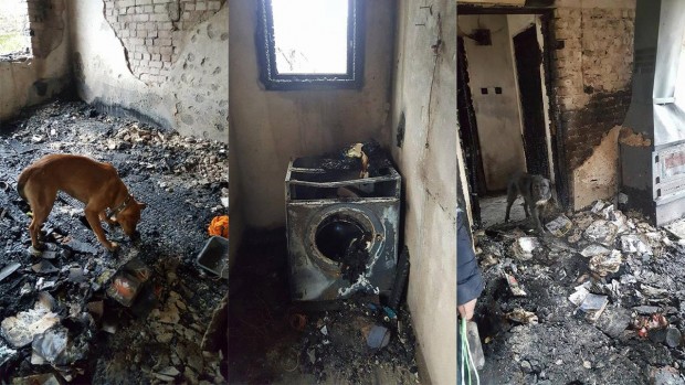 Blagoevgrad24.bg
Огромен пожар унищожи дома на добра жена, грижеща се за
