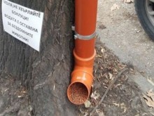 Състрадателен пловдивчанин измайстори хранилка за бездомни животни