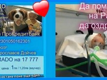 Нека да помогнем на малкия Радо да оздравее!