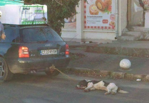 Куче завързано за автомобил, в безпомощно състояние, взриви социалните мрежи