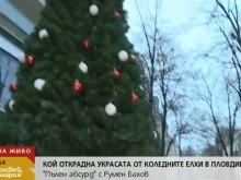 Масово крадат от коледните елхи по центъра на Пловдив