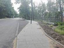 Дават 800 500 лв за старт на най-голямото залесяване в новата история на Пловдив