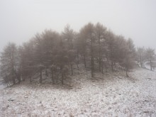 През нощта част от България ще е в капана на снега