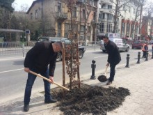Кметът на "Централен" готви специални грижи за зелената среда в района