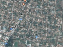 Не-човек отрови 8 домашни кучета в Цалапица!