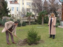 Направиха първата копка на елхова горичка пред общината