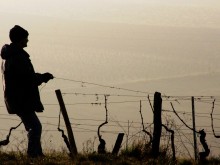 Благоевградчанин с откъснат скалп при нелеп инцидент