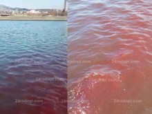 Тонове кръв се изливат във Водното огледало на Кърджали?