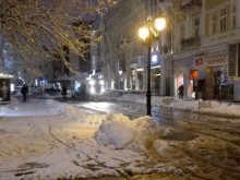 Зимата пак се отлага, снега май ще го гледаме само на снимки