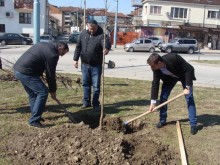 Поискаха оставката на директора на ОП "Градини и паркове"