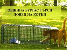 ��������� �� ������� �� ������� �� "����� �� �����: �� ��������� ���� �� ��������� �� ������!