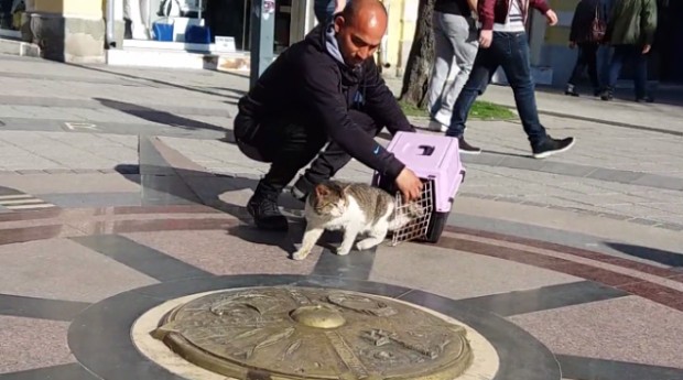 Професията Ловец на котки не е нещо ново за Бургас