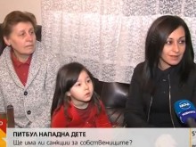 От 100 до 250 лв. ще е глобата за собствениците на питбула, нападнал дете в Дупница