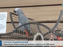 Папагал рецитира "Аз съм българче" (ВИДЕО)