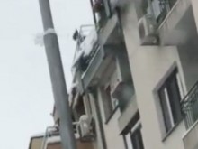 Не така! Пловдивчанин чисти снега от покрива, мята го с лопата върху хора и коли!