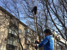 Клето животно бе спасено в Пловдив