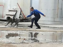 Пост във Фейсбук: Жестоко убийство пред погледа на дете в Пловдив