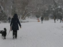 Люта зима ни удря утре! Прогнозират 30-сантиметров сняг, ще вали навсякъде!