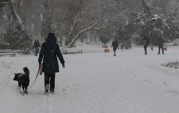 Blagoevgrad24 bg
До 30 сантиметра сняг утре за това съобщиха от