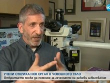Откриха нов орган в човешкото тяло