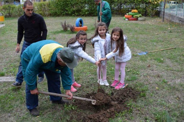 Община Приморско ще отбележи Седмицата на гората с редица еко